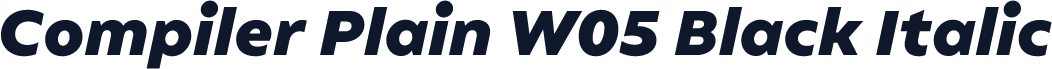 Compiler Plain W05 Black Italic