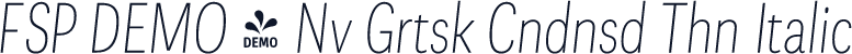 FSP DEMO - Nv Grtsk Cndnsd Thn Italic