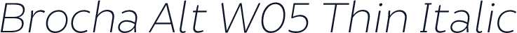 Brocha Alt W05 Thin Italic