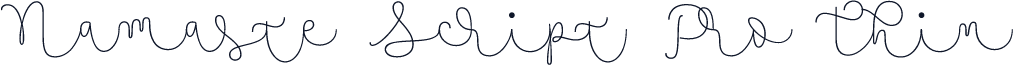 Namaste Script Pro Thin