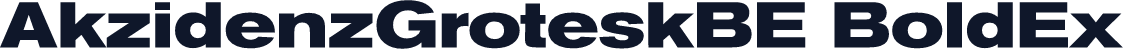 AkzidenzGroteskBE BoldEx