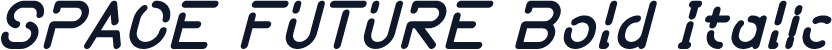 SPACE FUTURE Bold Italic