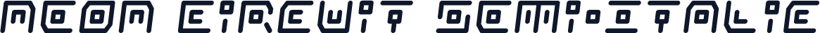 Neon Circuit Semi-Italic
