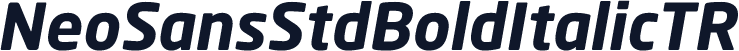 NeoSansStdBoldItalicTR
