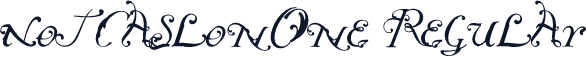NotCaslonOne Regular