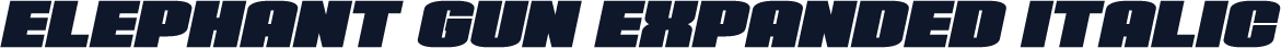 Elephant Gun Expanded Italic