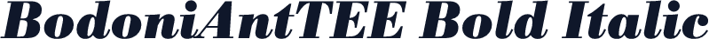 BodoniAntTEE Bold Italic
