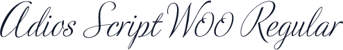 Adios Script W00 Regular