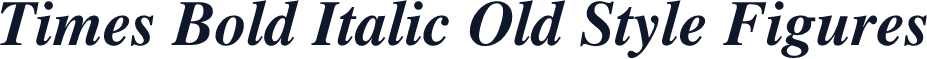 Times Bold Italic Old Style Figures