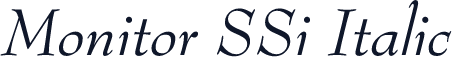 Monitor SSi Italic