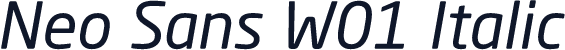 Neo Sans W01 Italic
