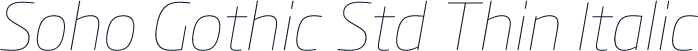 Soho Gothic Std Thin Italic