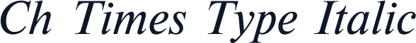 Ch Times Type Italic