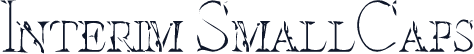 Interim SmallCaps