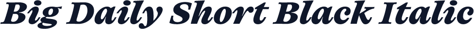 Big Daily Short Black Italic