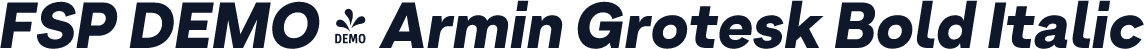 FSP DEMO - Armin Grotesk Bold Italic