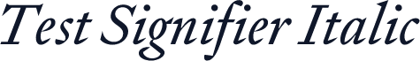 Test Signifier Italic