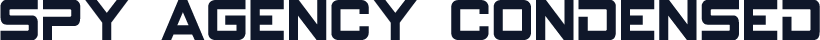 Spy Agency Condensed