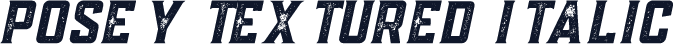 Posey Textured Italic