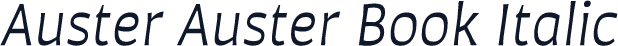 Auster Auster Book Italic