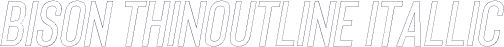 Bison ThinOutline Itallic