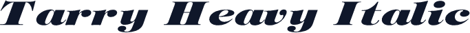Tarry Heavy Italic
