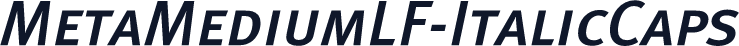 MetaMediumLF-ItalicCaps