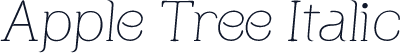 Apple Tree Italic