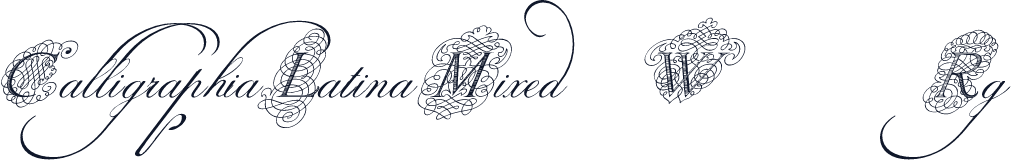 CalligraphiaLatinaMixed W95 Rg
