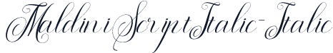 MaldiniScriptItalic-Italic