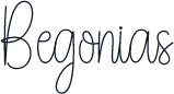 Begonias