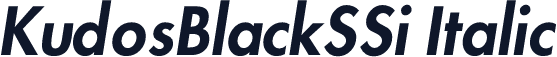 KudosBlackSSi Italic