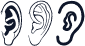 Ear