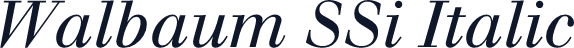 Walbaum SSi Italic