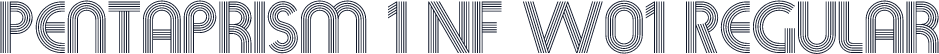 Pentaprism 1 NF W01 Regular