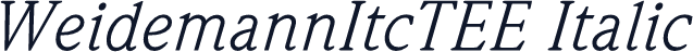WeidemannItcTEE Italic