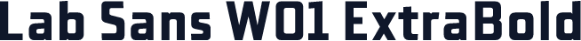 Lab Sans W01 ExtraBold