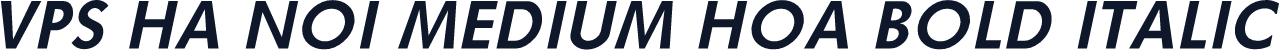 VPS Ha Noi Medium Hoa Bold Italic
