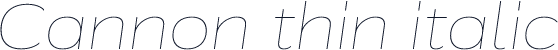 Cannon thin italic