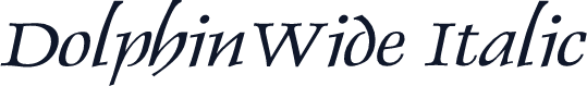 DolphinWide Italic