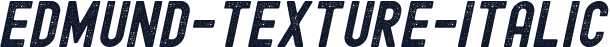Edmund-Texture-Italic