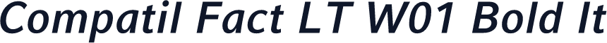 Compatil Fact LT W01 Bold It