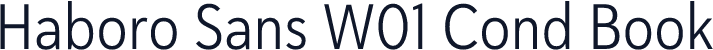 Haboro Sans W01 Cond Book