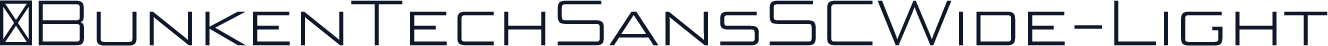 ☞BunkenTechSansSCWide-Light