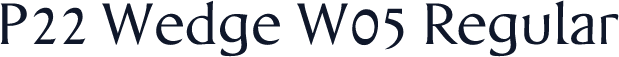 P22 Wedge W05 Regular