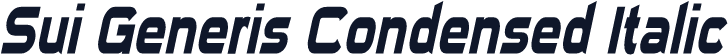 Sui Generis Condensed Italic