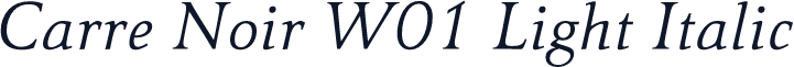 Carre Noir W01 Light Italic