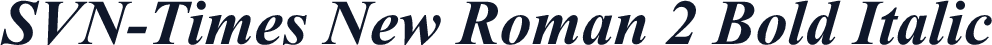 SVN-Times New Roman 2 Bold Italic