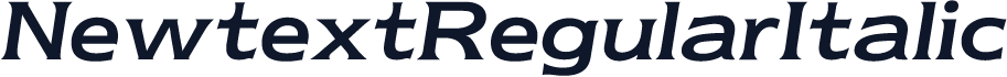 NewtextRegularItalic