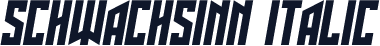 Schwachsinn Italic